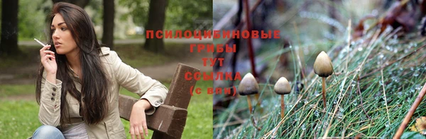 экстази Алексеевка