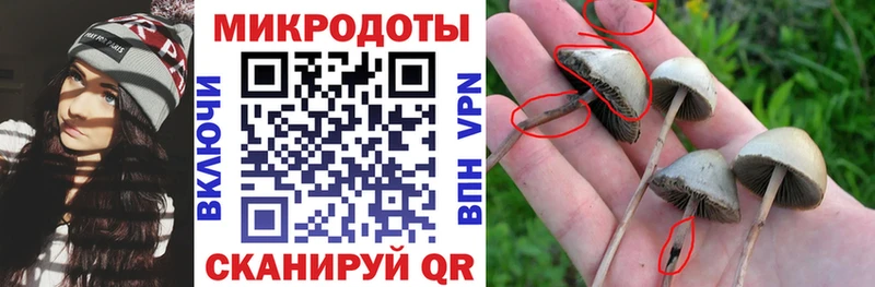 Псилоцибиновые грибы мухоморы  Билибино 