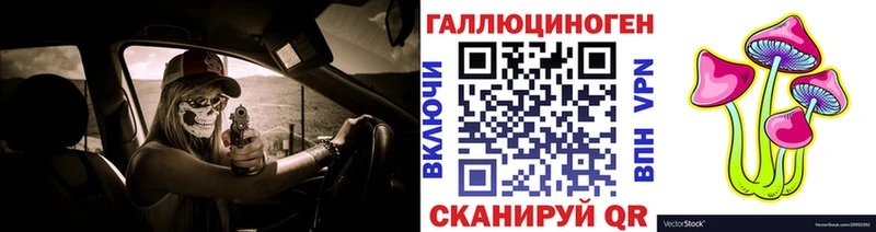 Псилоцибиновые грибы Cubensis Билибино